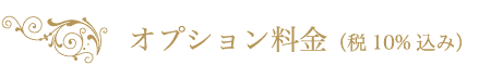 オプション料金 (税10%込み）